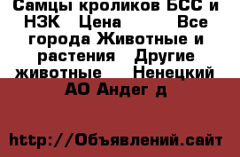 Самцы кроликов БСС и НЗК › Цена ­ 400 - Все города Животные и растения » Другие животные   . Ненецкий АО,Андег д.